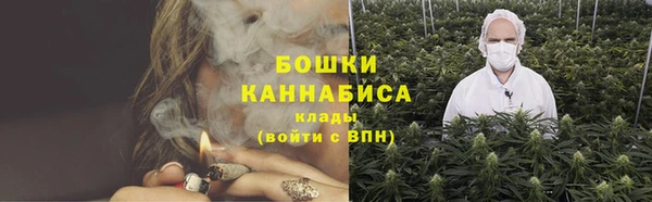 Альфа ПВП Бугульма