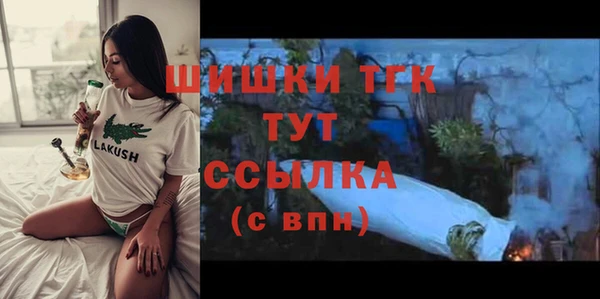 экстази Бородино