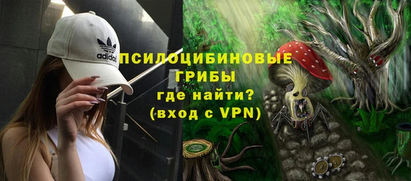 Альфа ПВП Бугульма