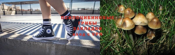 экстази Бородино