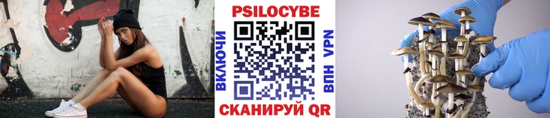 кракен ONION  Смоленск  Галлюциногенные грибы прущие грибы 